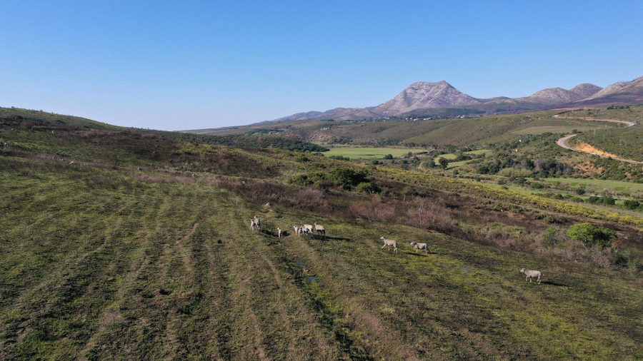 3 Bedroom Property for Sale in Kareedouw Eastern Cape